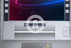 Product: Solid Attack Solution